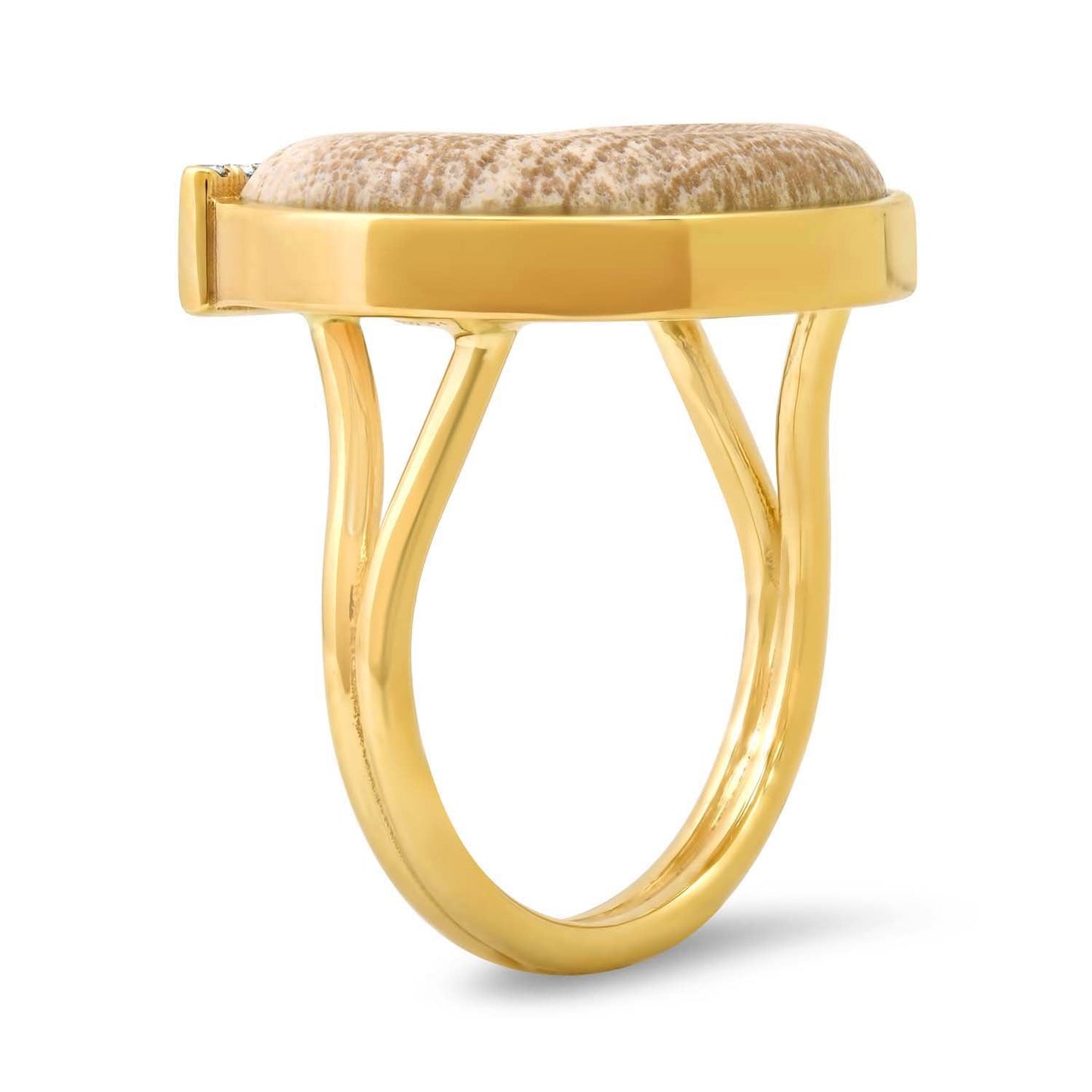Side View of Sig Ward Jewelry 14K Yellow Gold Topaz, Petrified Wood and Diamond Horseshoe Ring